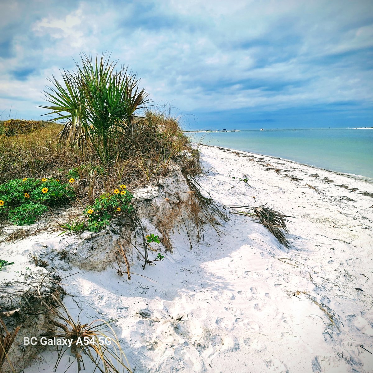Paradise found.jpg