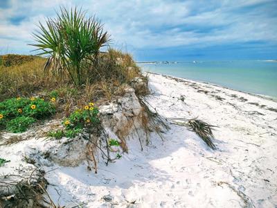 Paradise found.jpg