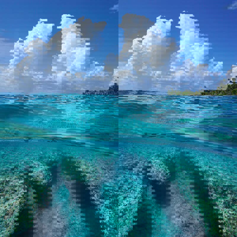 Pretty colors.jpg