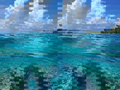 Pretty colors.jpg