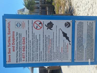 Save the wildlife.jpg
