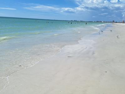 Sunny Beach Serenity Gentle Waves Moment.jpg
