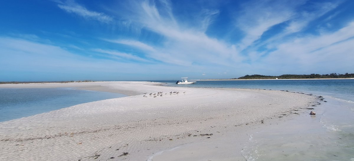 Sunny Coastal Lagoon White Sand Reflection.jpg