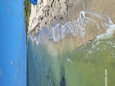Tranquil Beach Blue Serene Lakes Panorama.jpg