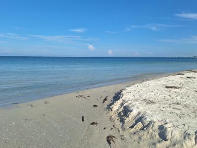 Wide open spaces.jpg