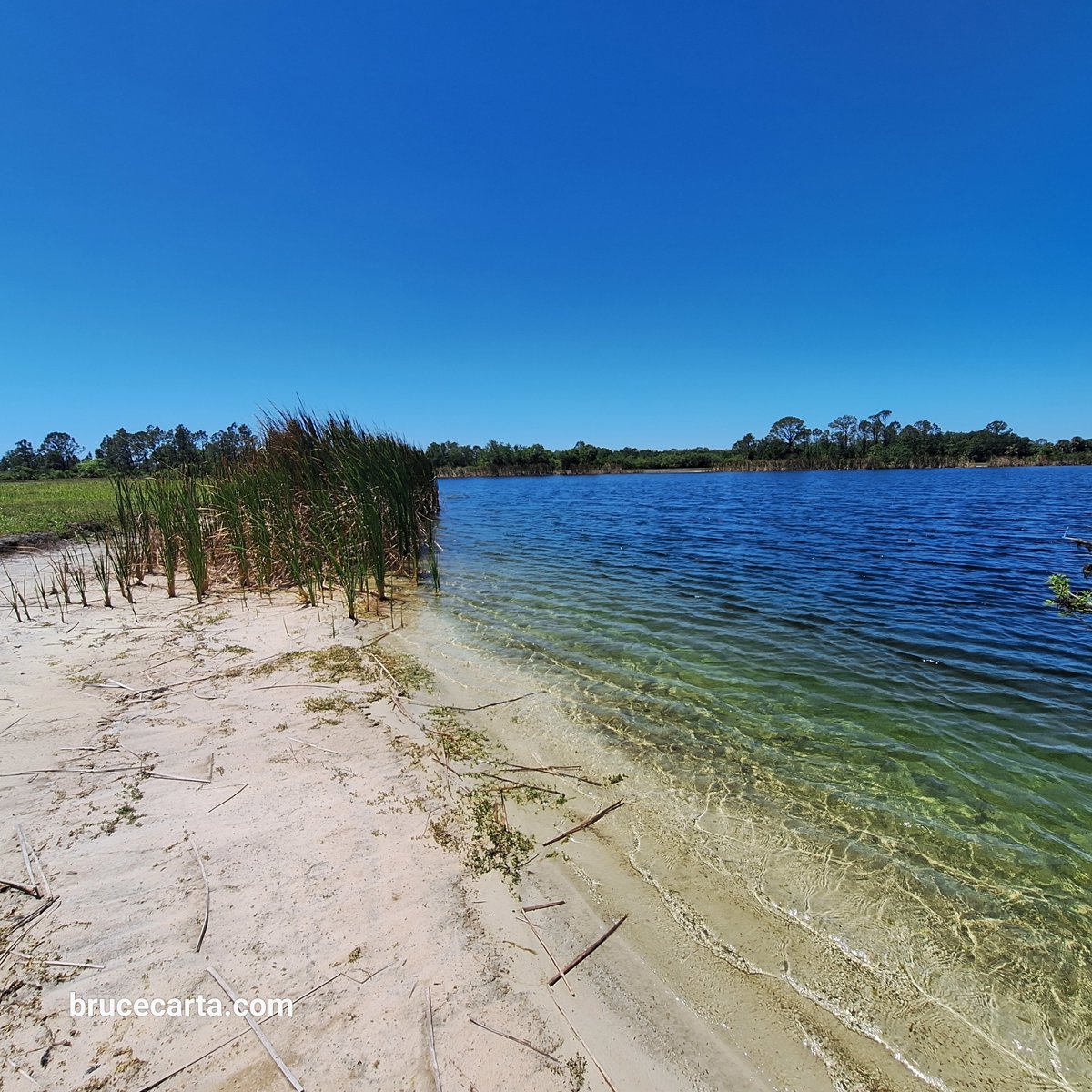 Clear Blue Glassy Lake Tranquil Shoreline Panorama.jpg