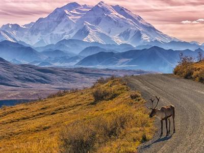 Majestic Mountain Tranquil Lakeside Landscape Reindeer Memory.jpg