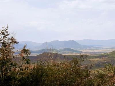 Muted Mountain View Misty Still Lakeside Landscape.jpg