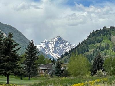 Snow-capped Bells Mountain Spring Greenery Memory.jpg