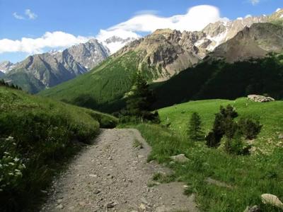 Sunny Mountain Trail Lush Greens Panorama.jpg
