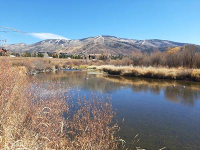 Tranquil River Autumn Reflections Capture.jpg