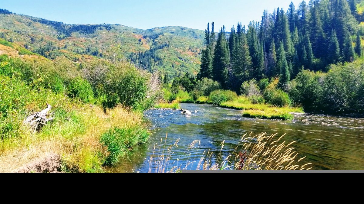 Vibrant Autumn River Valley Reflection.jpg