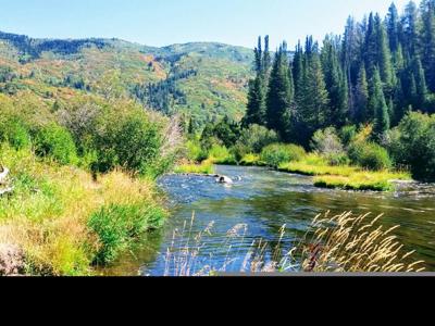 Vibrant Autumn River Valley Reflection.jpg