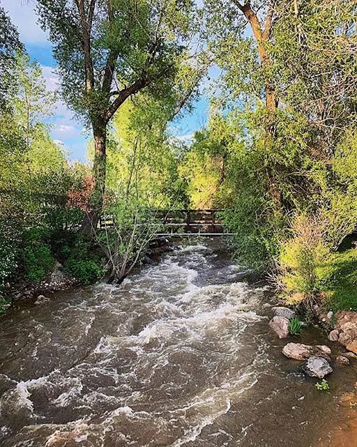 Lush Green River Serenity Scene.jpg