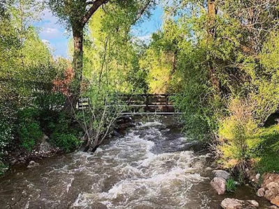 Lush Green River Serenity Scene.jpg