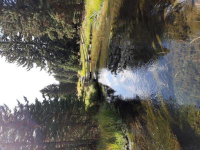 Relaxed Photo View.jpg