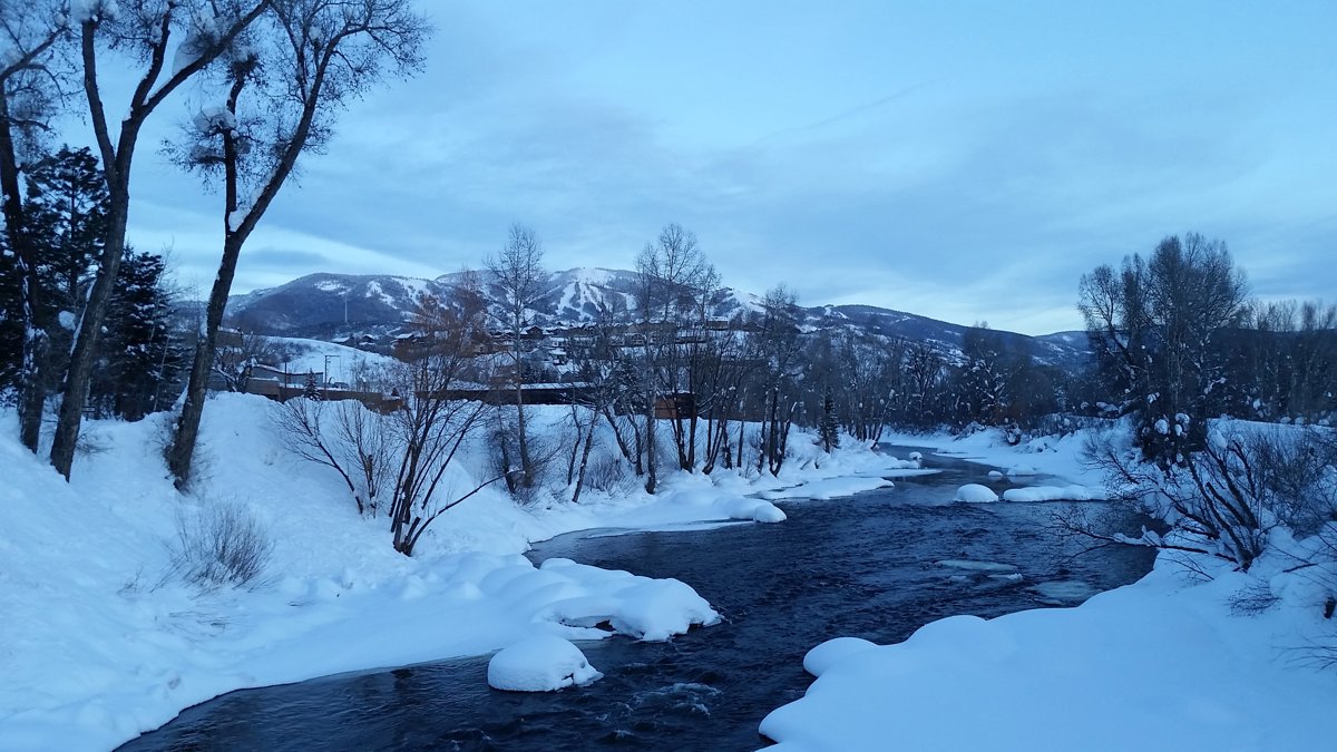 Warm Cozy View.jpg