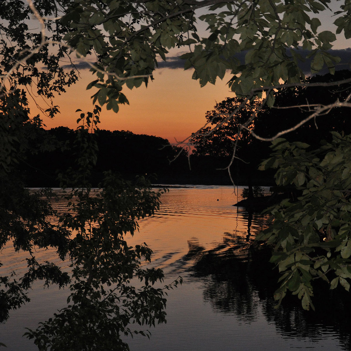 Misty Fiery Sunset Reflections on Still Lake Still Water Capture.jpg