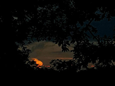 Vibrant Abstract Sunset Reflections Magical Evening Atmosphere Panorama.jpg